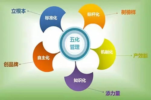 掌握班組管理4大要點(diǎn),實(shí)現(xiàn)合理配置班組人員
