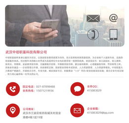 河南幼師資格證報考指南，兼談職業技能培訓與計算機行業